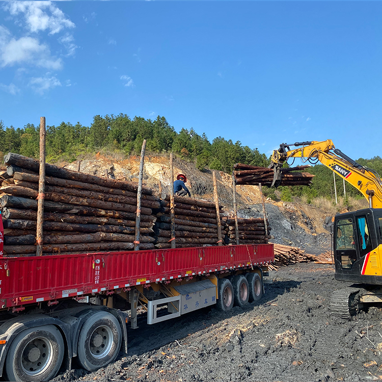 防洪防汛用的松木樁/杉木樁哪里有賣？