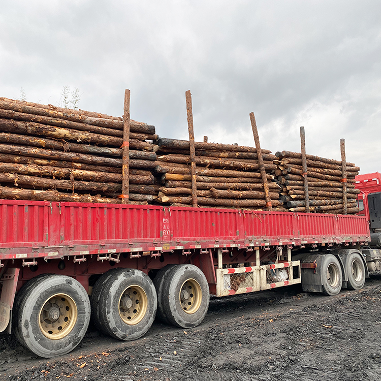 河道木樁報價:河道(6米)松木木樁多少錢一米,原木樁多少錢？
