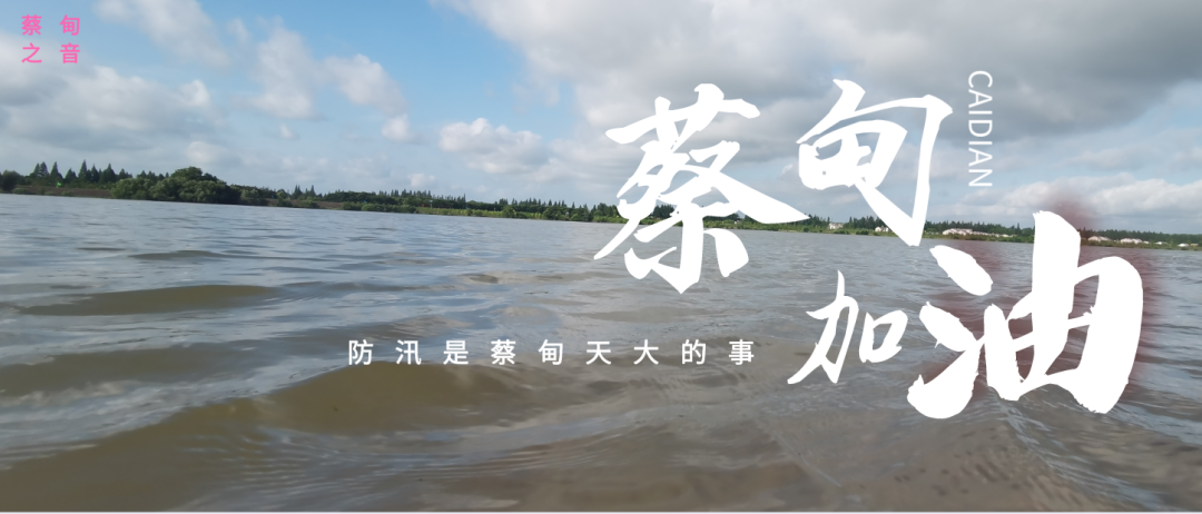 蔡甸區(qū)啟動(dòng)防汛ⅰ級(jí)應(yīng)急響應(yīng)，做好鋪土釘防汛木樁工作