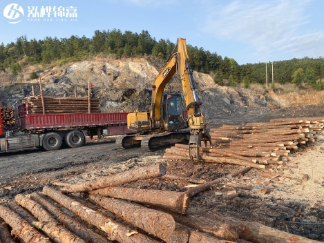 松木樁批發(fā)價格是多少？