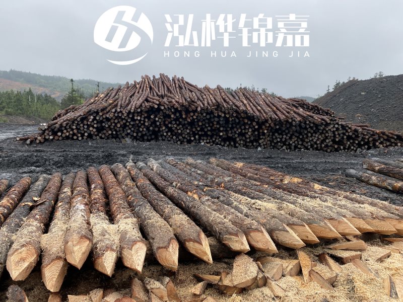 6米長松木樁有哪些作用，多少錢一根？