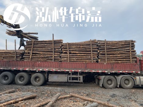 打樁木材為何首選松木？松木樁應該怎么打樁施工