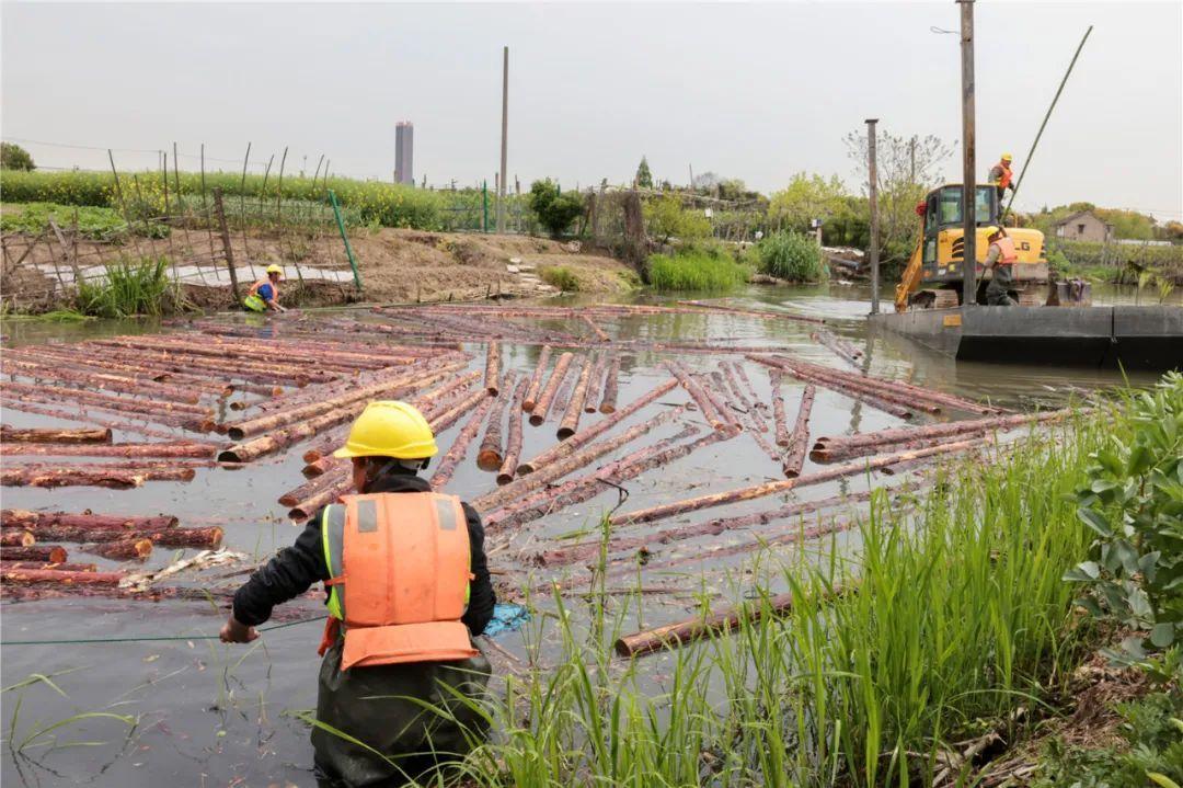 改善水環(huán)境！徐行122條段村級河道用木樁對河岸進行加固整治