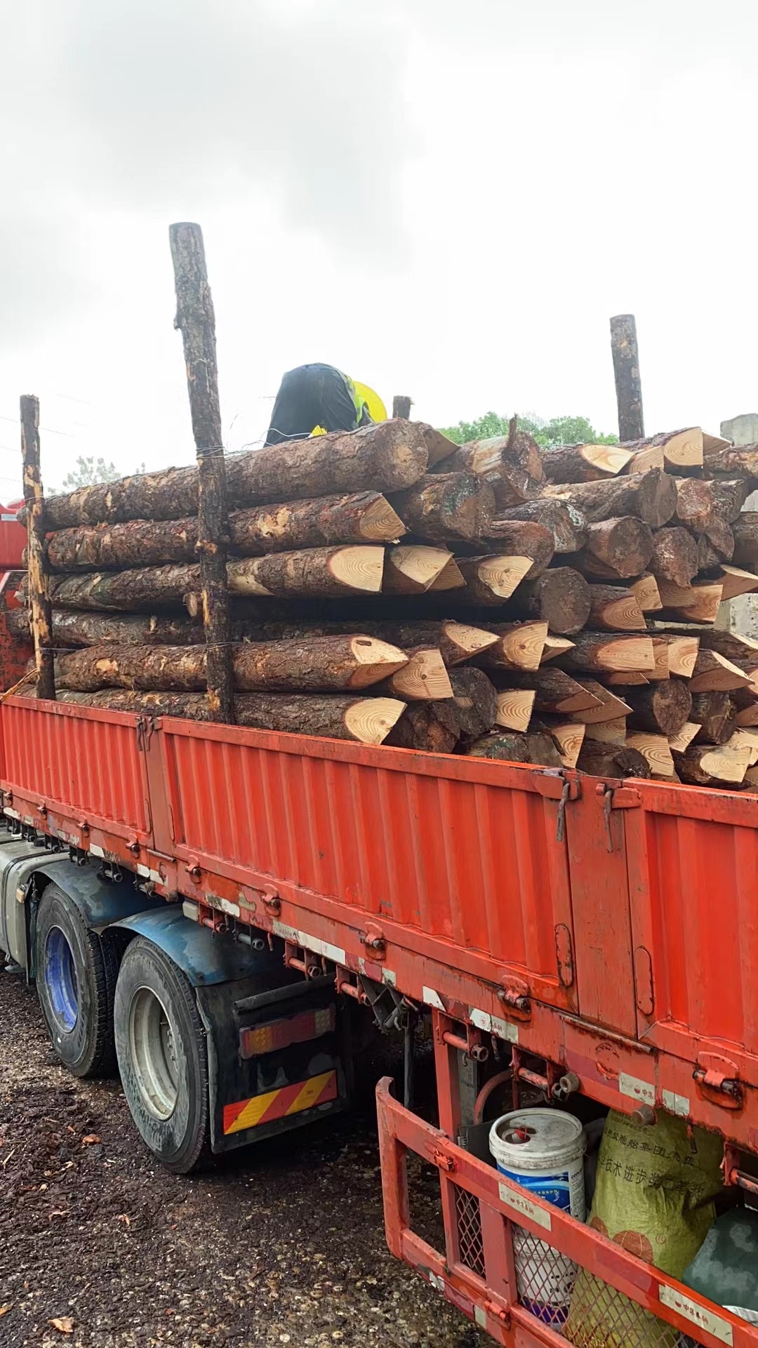 松木樁新手必備！快速掌握規(guī)范和要求