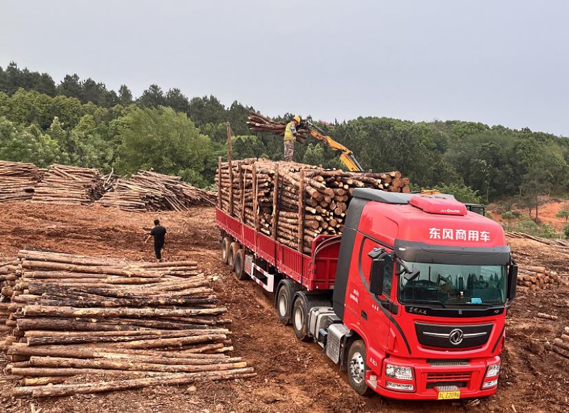 落葉松可以做防腐木嗎，如何制作落葉松防腐木