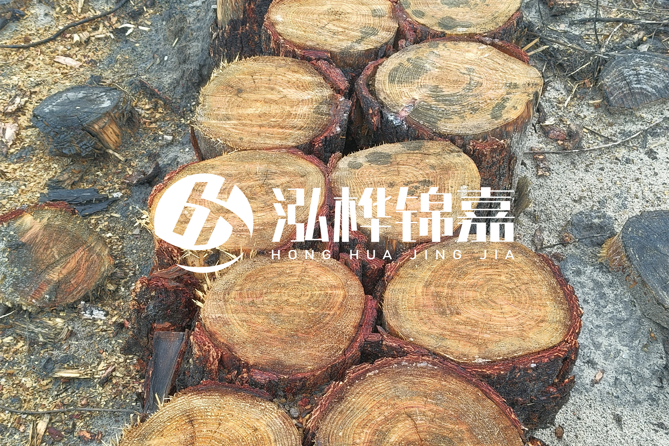 浙江臺州有清淤的公司嗎？浙江臺州有清淤施工隊(duì)嗎？