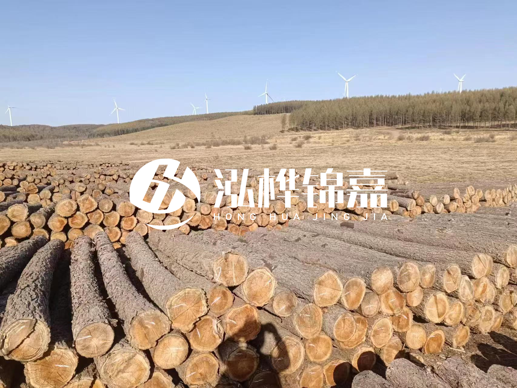 咸寧松木樁源頭廠家-哪里能買(mǎi)到質(zhì)量好的松木樁打樁木？