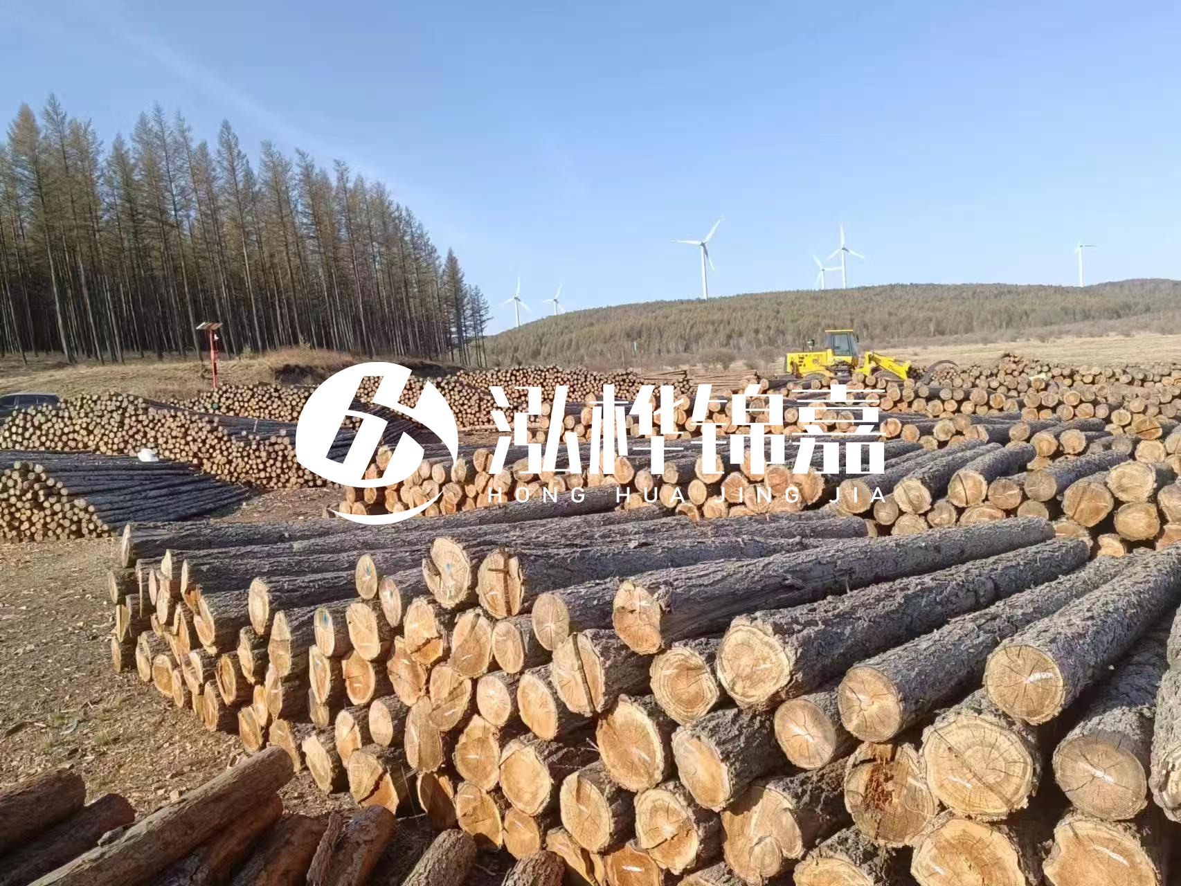 湘潭松木樁源頭廠家-松木樁與水泥樁的性價(jià)比對(duì)比如何？