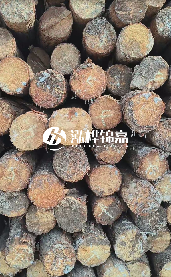 邵陽(yáng)松木樁源頭廠家-松木樁護(hù)岸適合哪些地理環(huán)境？