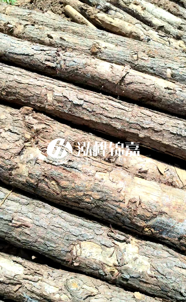 佛山松木樁源頭廠家-松木樁和杉木樁在河道治理中哪個更耐用？