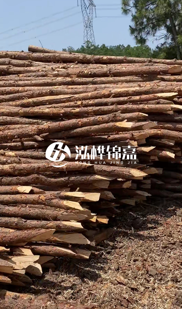 銅仁市挖機(jī)打木樁專業(yè)施工-河道松木樁水面需要預(yù)留多少？