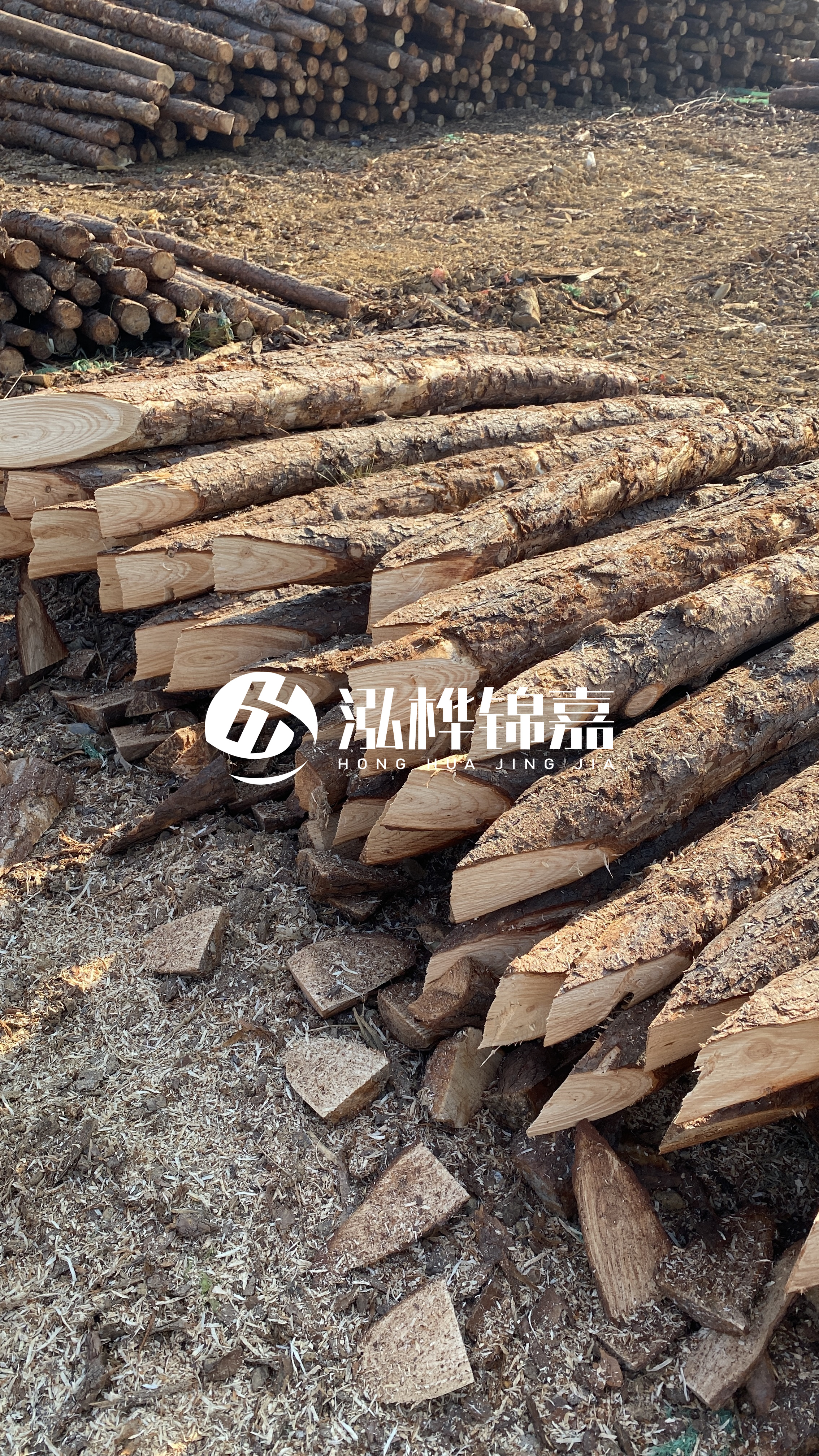 普洱松木樁源頭廠家-油松打樁木的抗壓強(qiáng)度是多少？