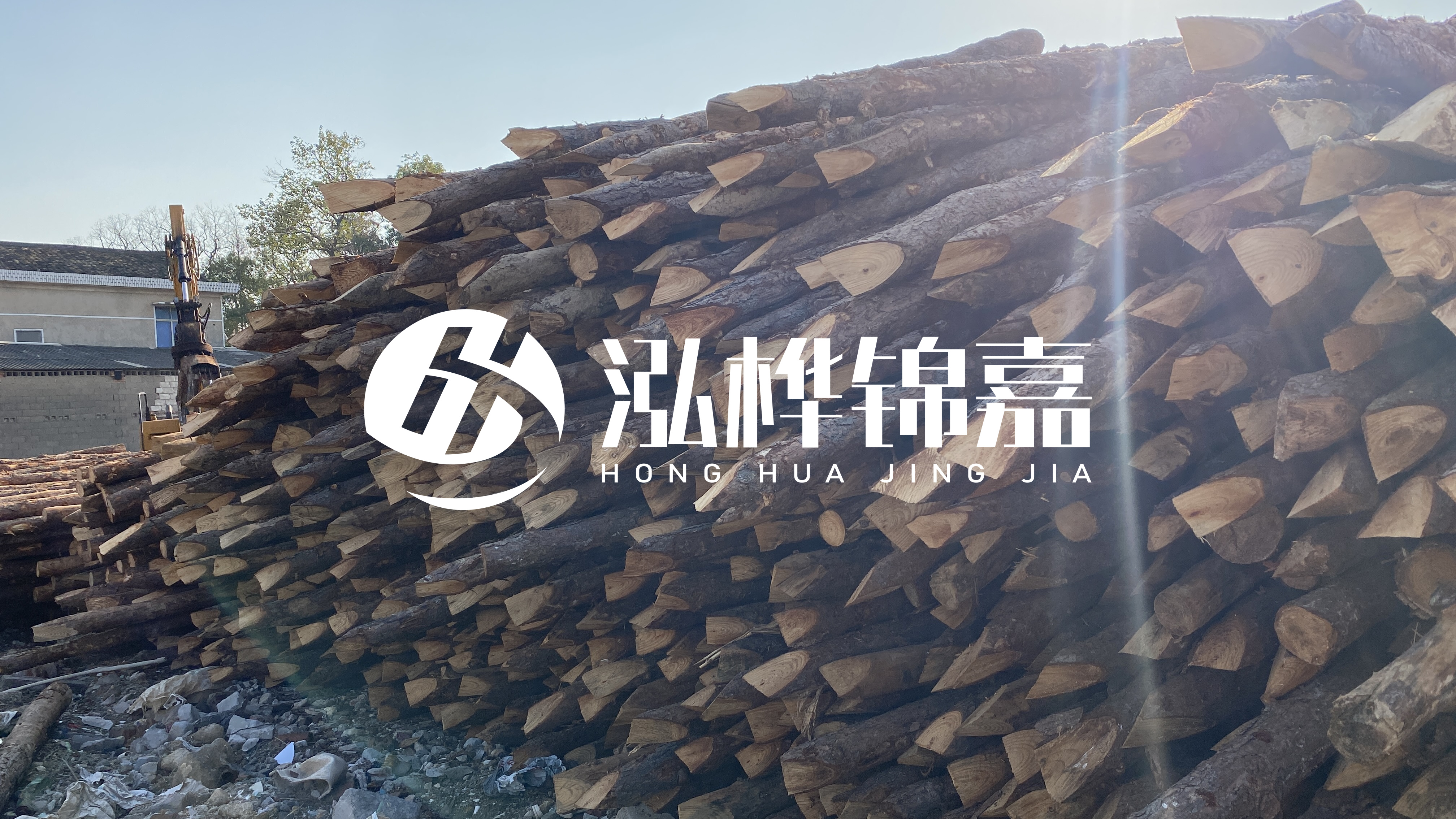 麗江松木樁源頭廠家-地基打松木樁的能撐幾年？