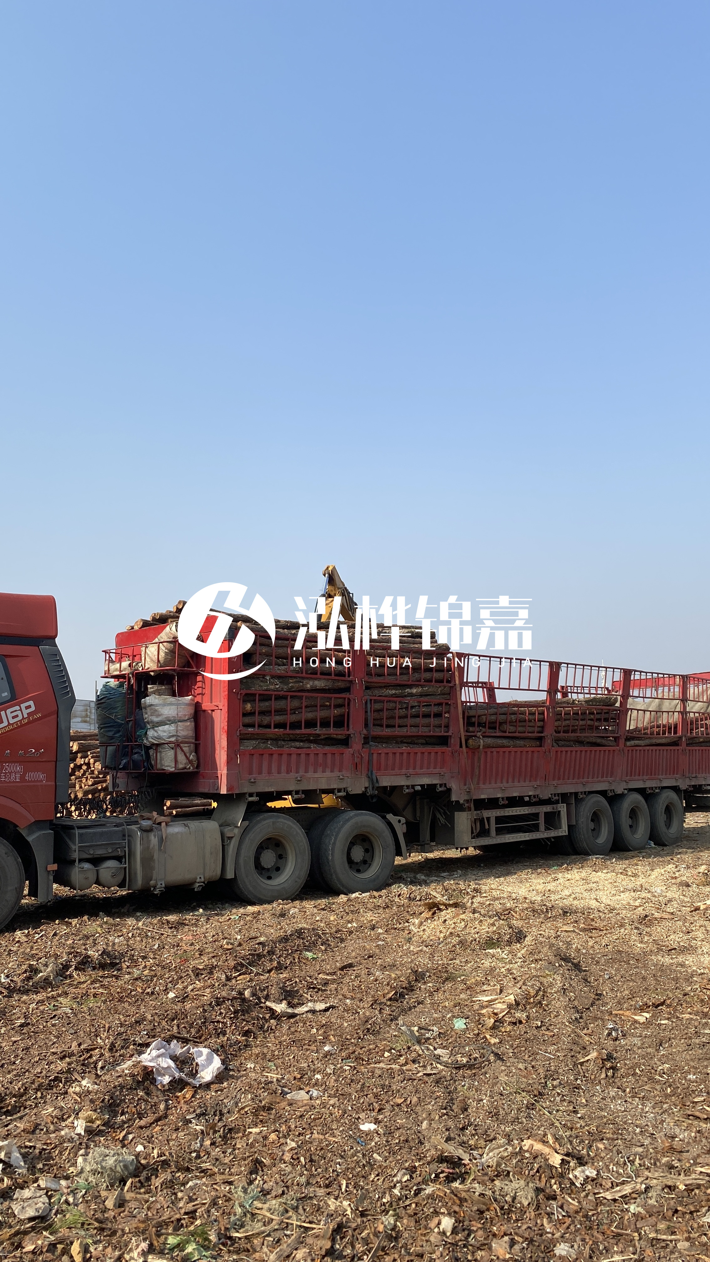 蘭州松木樁批發(fā)源頭廠家-落葉松與濕地松的主要區(qū)別？