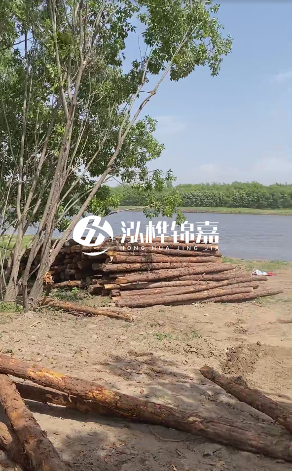 慶陽挖機(jī)打木樁專業(yè)施工-松木打樁過程中如何避免木材開裂？