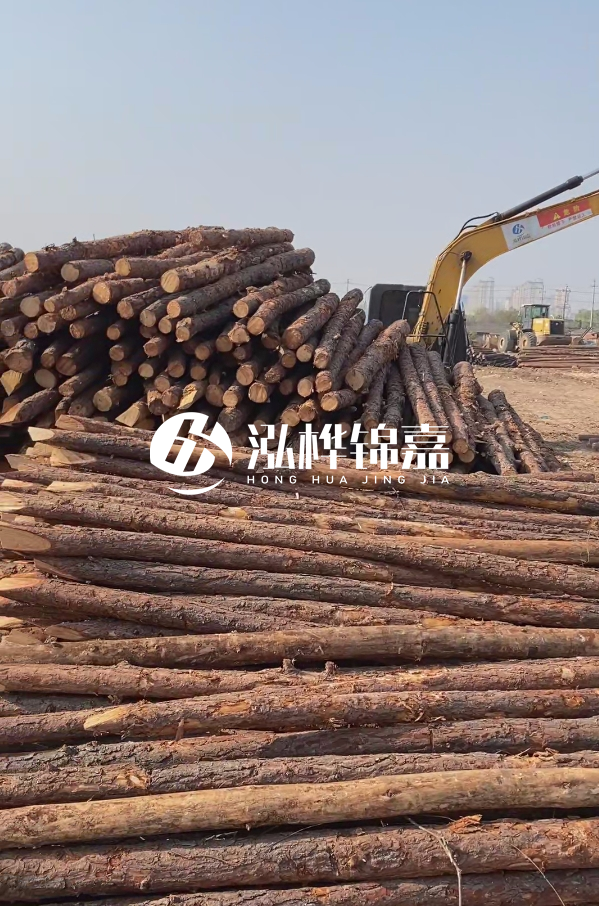 油松用于打樁木到底好不好？讓專業(yè)打樁隊(duì)告訴你！