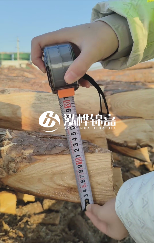 打木樁用松木樁好還是杉木樁好？全面對(duì)比解析！