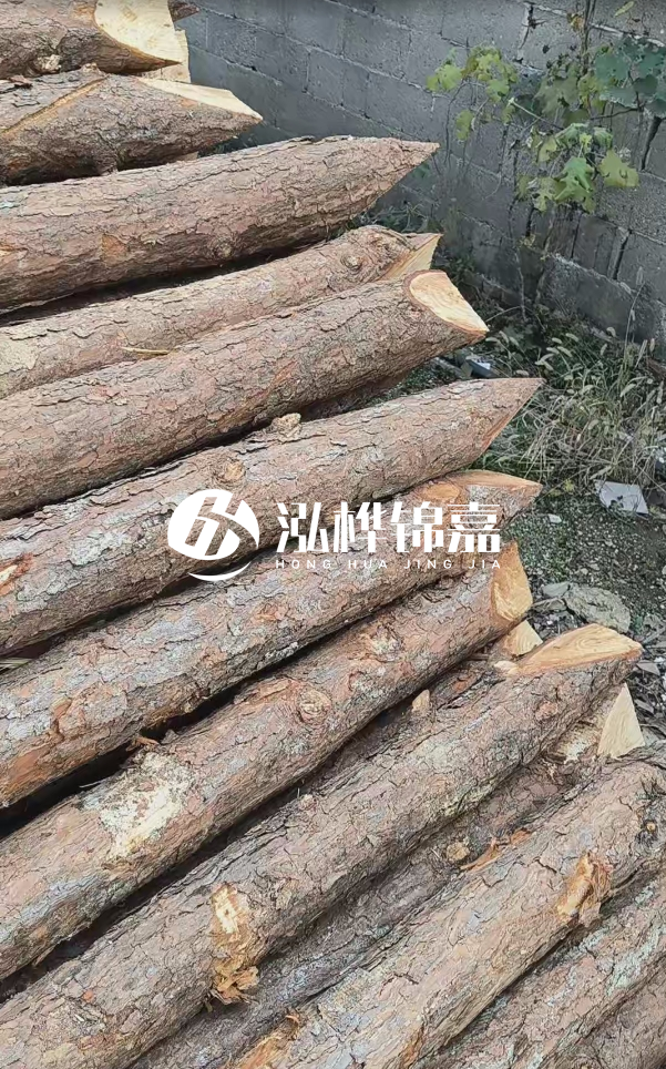 松木樁哪里能大量供應(yīng)？4米20公分松木樁價(jià)格是多少？