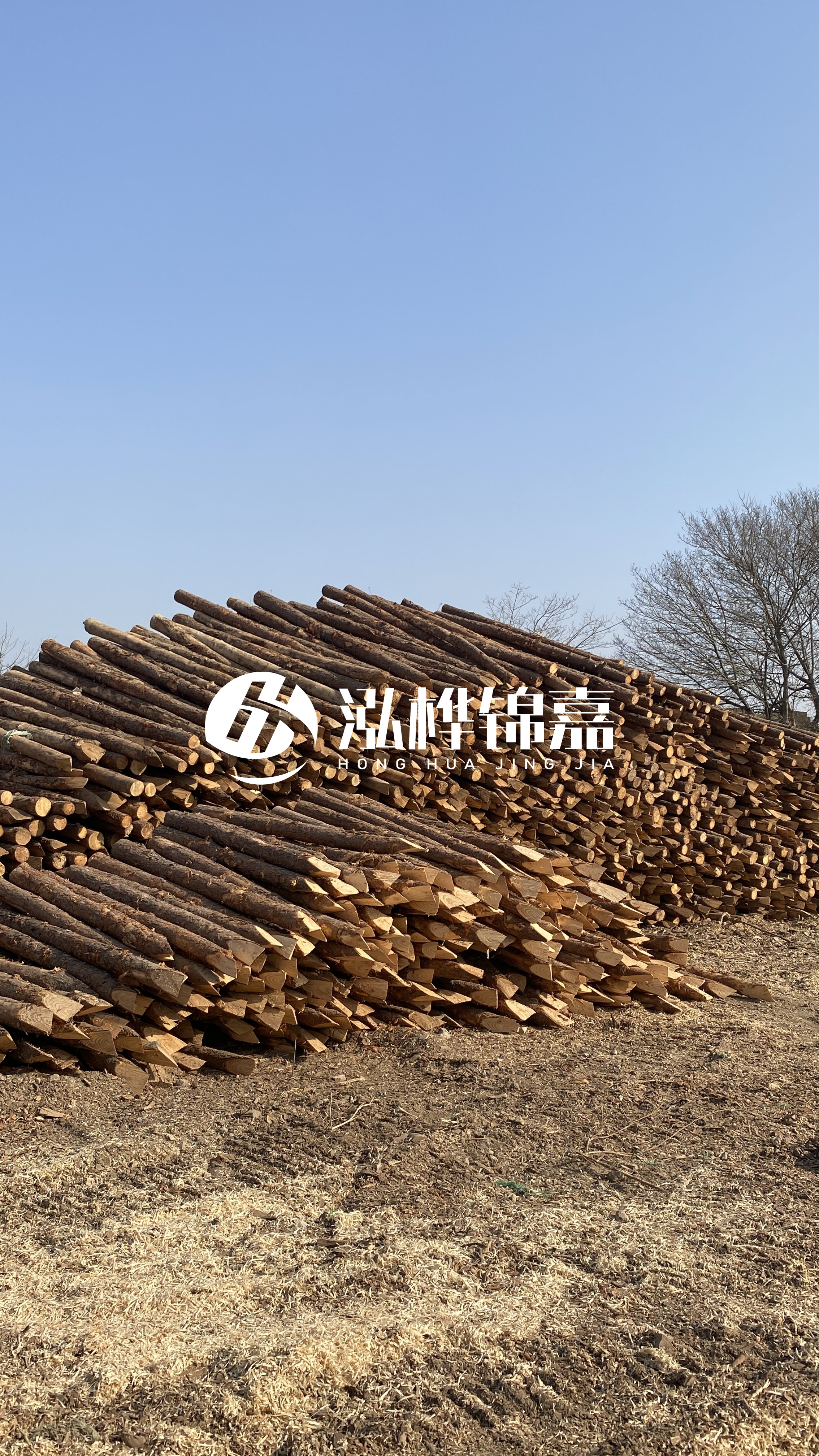 松木樁頭徑比尾徑大多少？計(jì)算方式是什么？