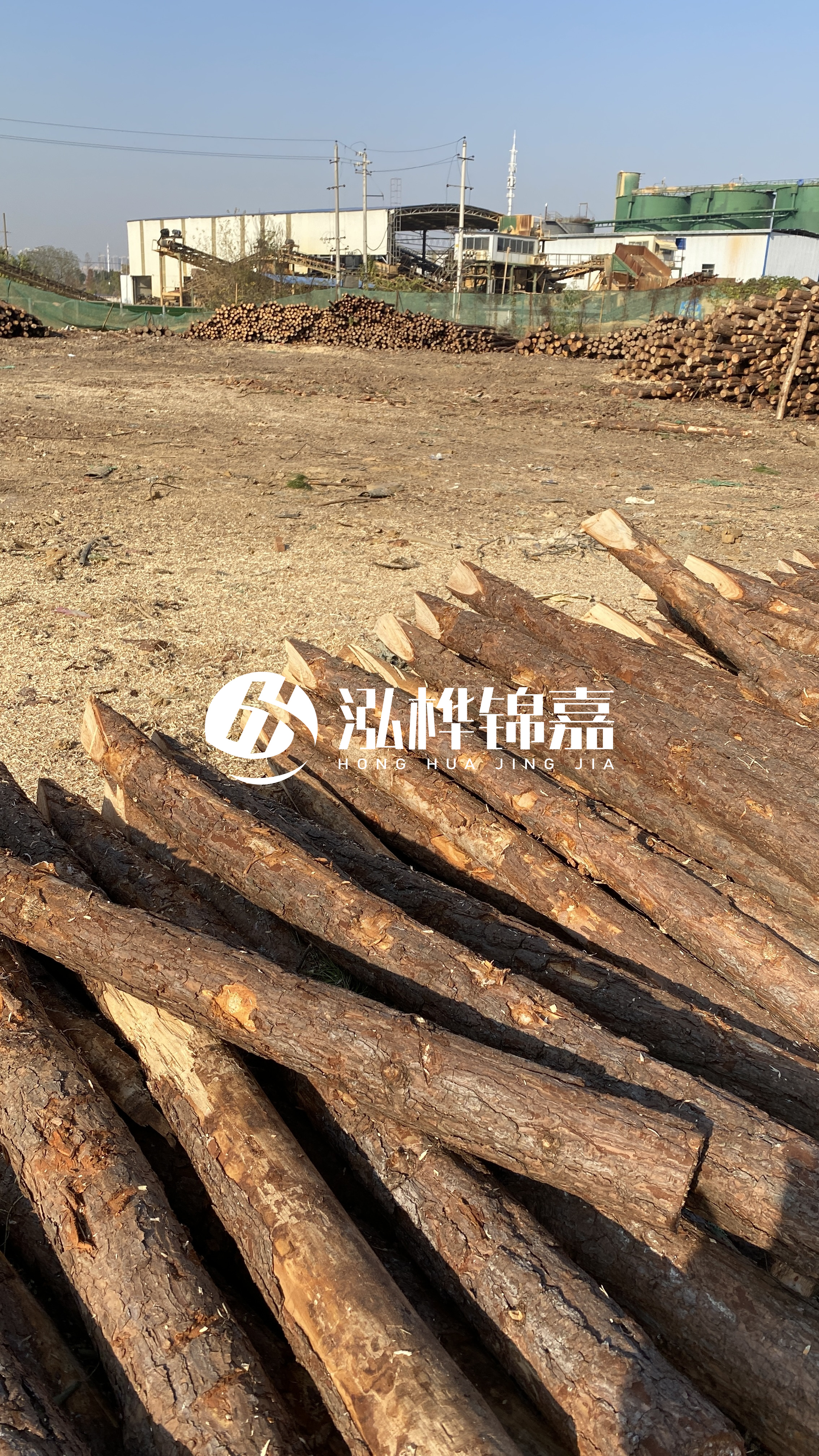 松木樁施工要找有資質(zhì)的嗎？松木樁施工背后門道多，看完就懂了！