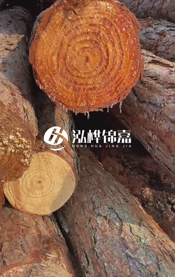 6米松木樁尾部11-14頭部多少？怎么算出來的？