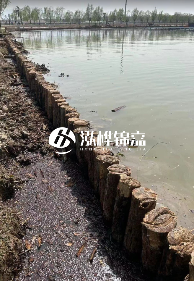 松木樁為什么要一根一根挨著打？秘密在這里！看完恍然大悟！