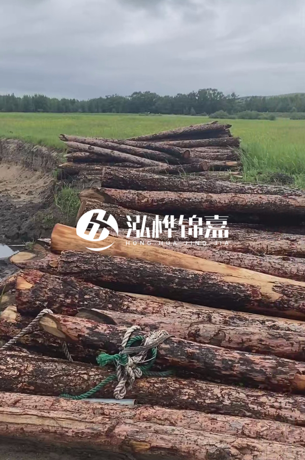 打樁木樁的選購標準是什么？材質(zhì)、尺寸與強度，哪些標準不能忽視？