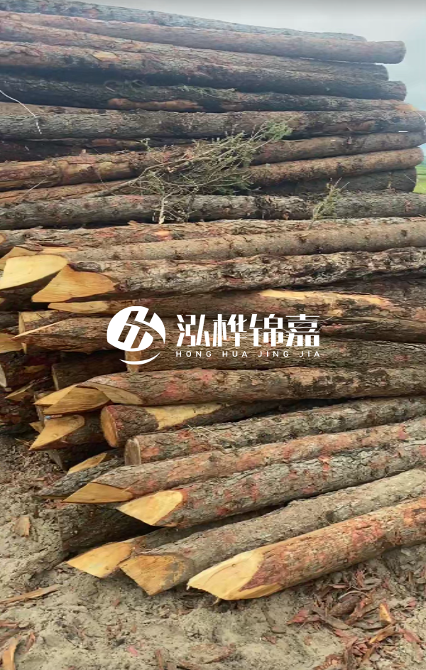 松木樁4米長尾徑14厘米價(jià)格是多少？一立方米有多少根？