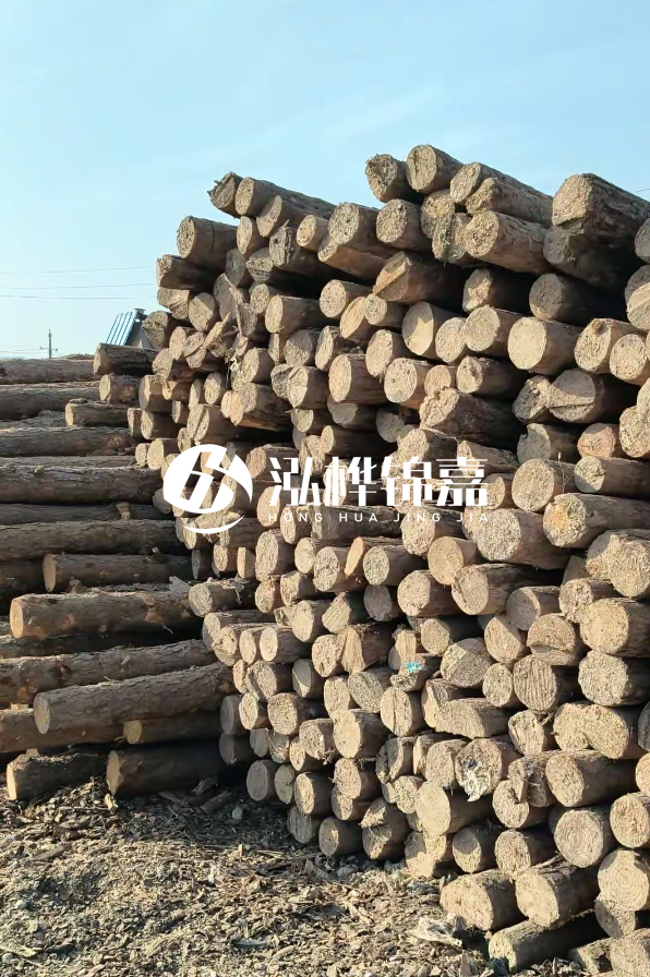 國(guó)內(nèi)哪里的松木樁便宜又好？五大高性價(jià)比產(chǎn)地推薦
