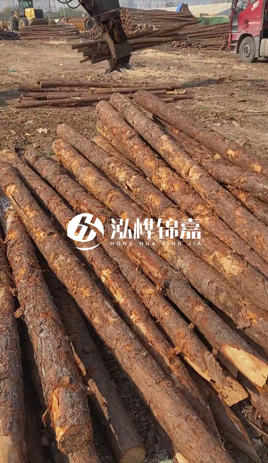 4.5米松木樁直徑14一根多少錢？5米14厘米多少錢？