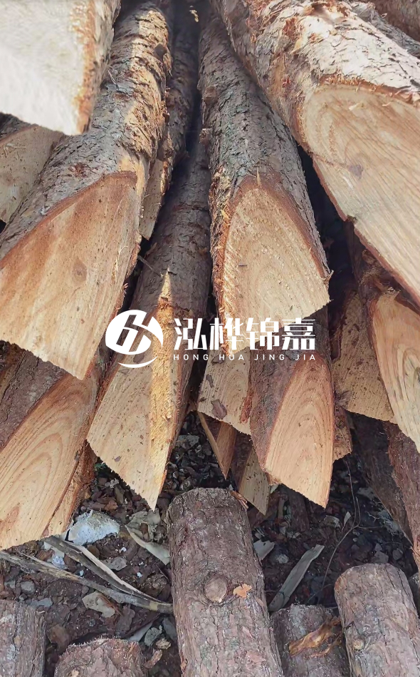 3米杉木樁梢頭12大頭多少？賣多少錢一根？