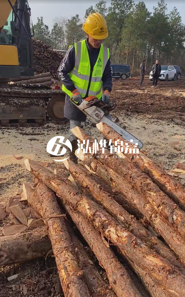 松木樁樁長1.5米稍徑12多少錢一根？樁長1.5米稍徑12大頭多少？