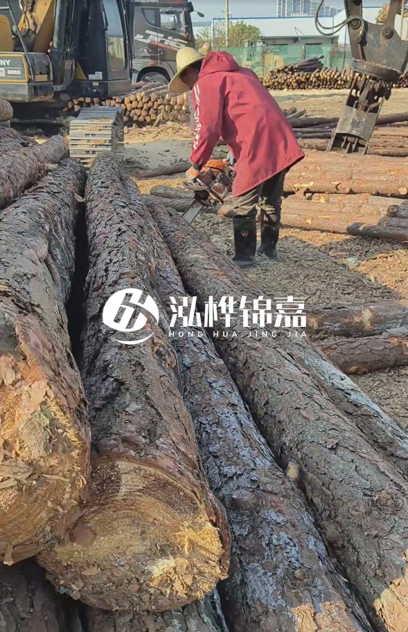 長沙打樁木批發(fā)廠家在哪里？聯(lián)系方式是什么？