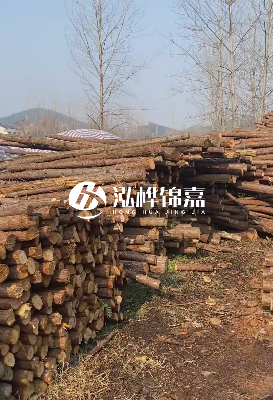 打杉木樁多少錢(qián)一根-一天能打多少根？