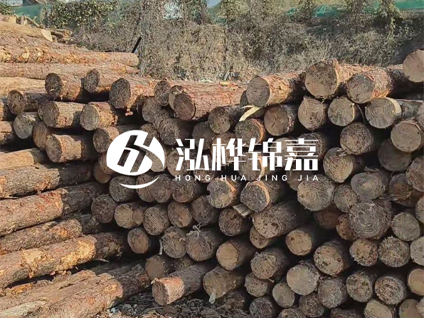 落葉松木材的主要產(chǎn)地在哪里？為什么比其他松木更耐腐蝕？