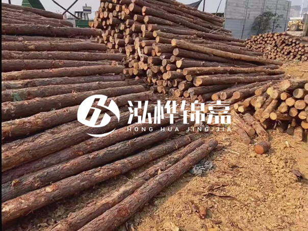 河道木樁施工遇到淤泥怎么辦？打多深才能防沖刷？