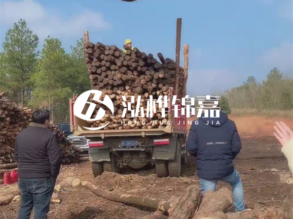 防腐木樁價(jià)格比普通木樁貴多少？防腐木樁有哪些處理方式？