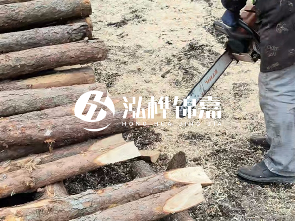 杉木樁批發(fā)廠家哪家好？產(chǎn)地直供渠道推薦！