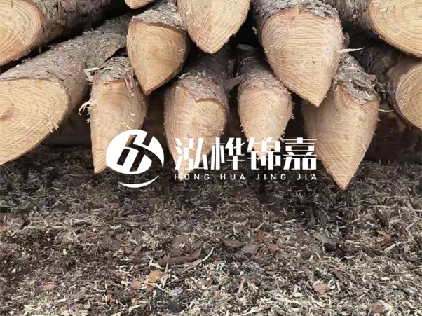 打樁木樁與鋼樁相比有哪些優(yōu)缺點(diǎn)？如何進(jìn)行后期維護(hù)？