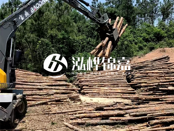 3米松木樁小頭10公分多少錢一根？大頭10公分又是多少錢？