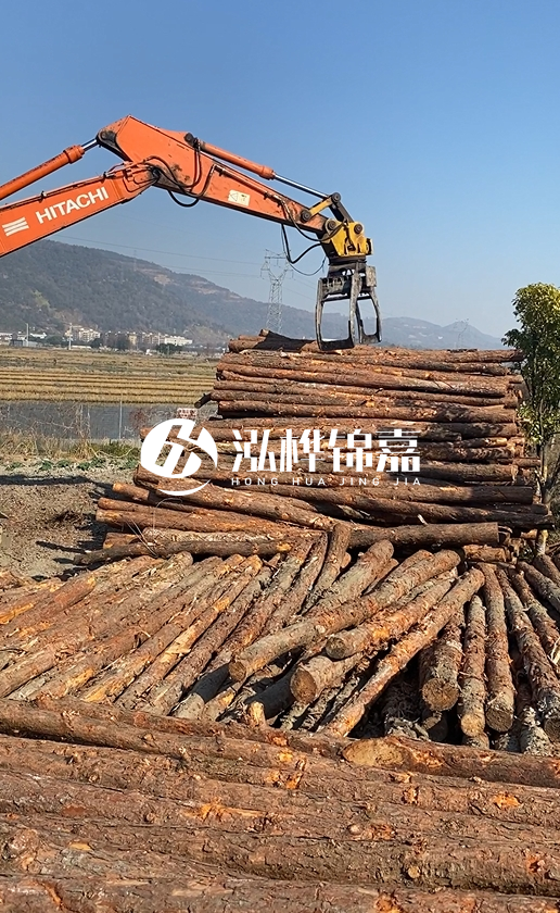 帶皮松木樁的防腐效果如何？和不帶皮松木樁價格差異有多大？