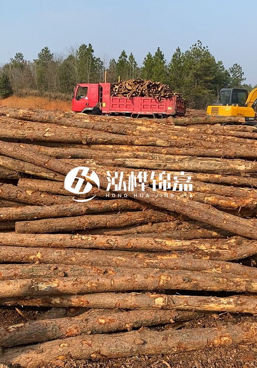 8米小頭11-13CM的松木樁價(jià)格是多少？打樁施工怎么算？