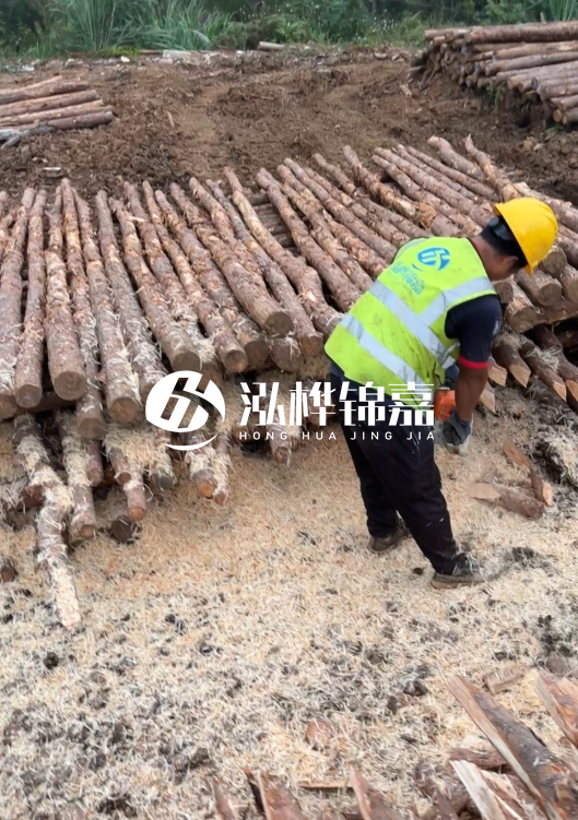 江蘇打樁木源頭廠家泓樺錦嘉-2.5米大頭10CM多少錢一根？