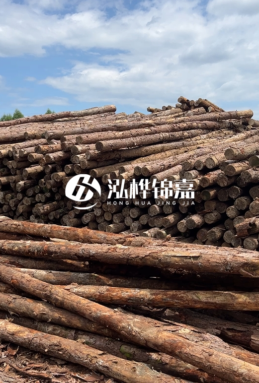 福建松木樁源頭廠家泓樺錦嘉-4.5米松木樁大頭15CM多少錢？