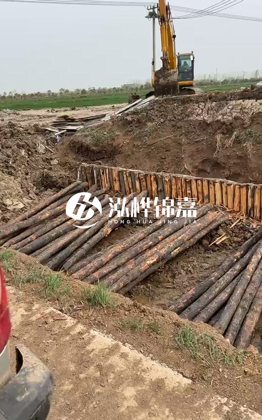 4米直徑12-13油松批發(fā)價最低多少？報價含稅含運嗎？