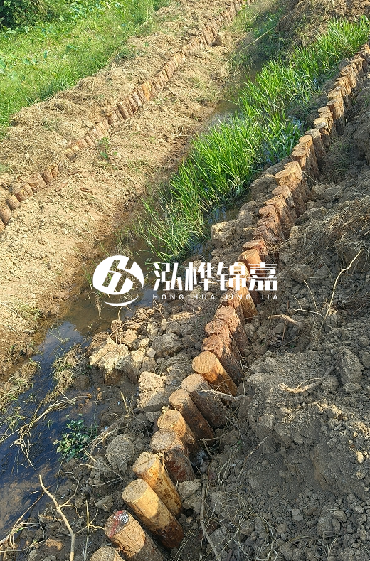 湖南松木樁批發(fā)廠家直銷-松木樁做碳化多少錢一根？