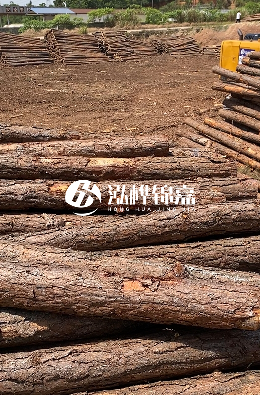 陜西河道木樁源頭廠家泓樺錦嘉-3米大頭11-13厘米多少錢一根？