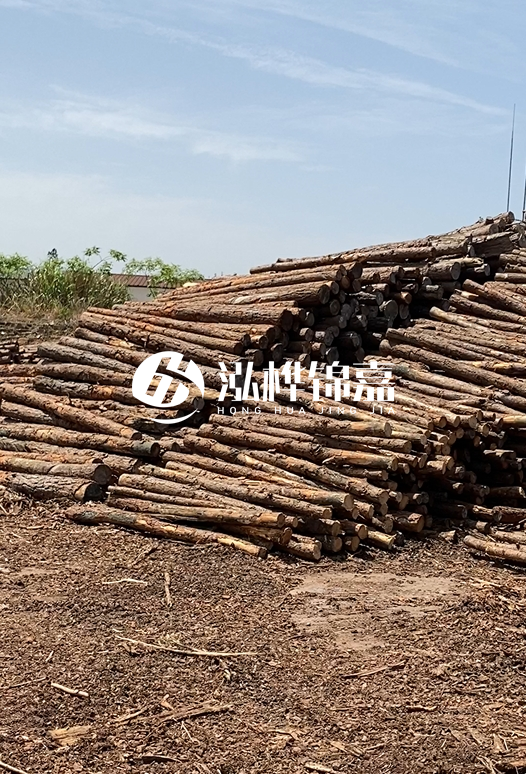 3.5米松木樁單價(jià)含稅怎么計(jì)算？碳化處理成本增加多少？