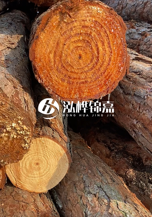 江西河道打樁木廠家泓樺錦嘉-河道打樁木如何避免中間商？