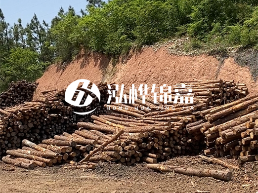 油松打樁木和落葉松打樁木的價(jià)格差異是多少？哪個(gè)性價(jià)比更高？